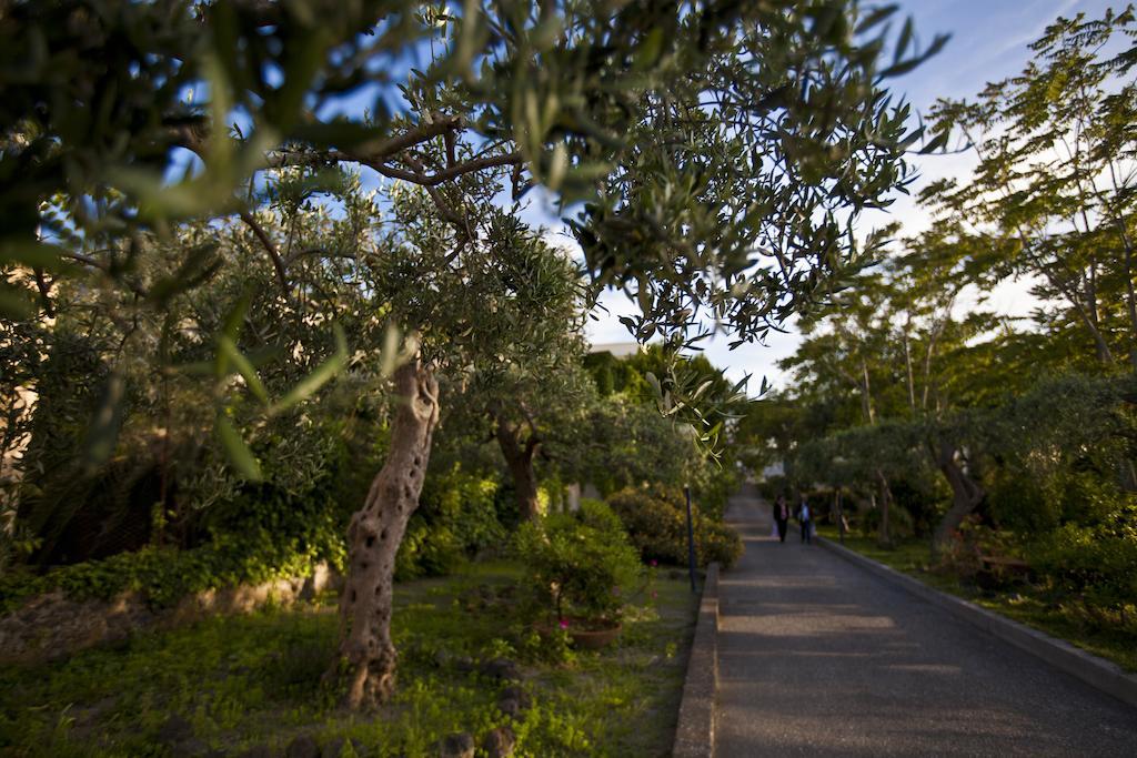 Hotel Terme Alexander Ischia Kültér fotó